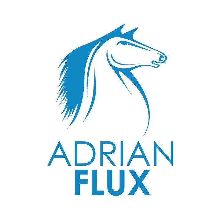 adrianfluxinsurance