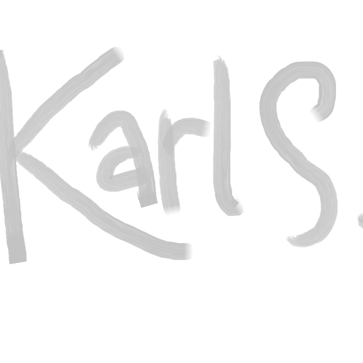 shopKarlS