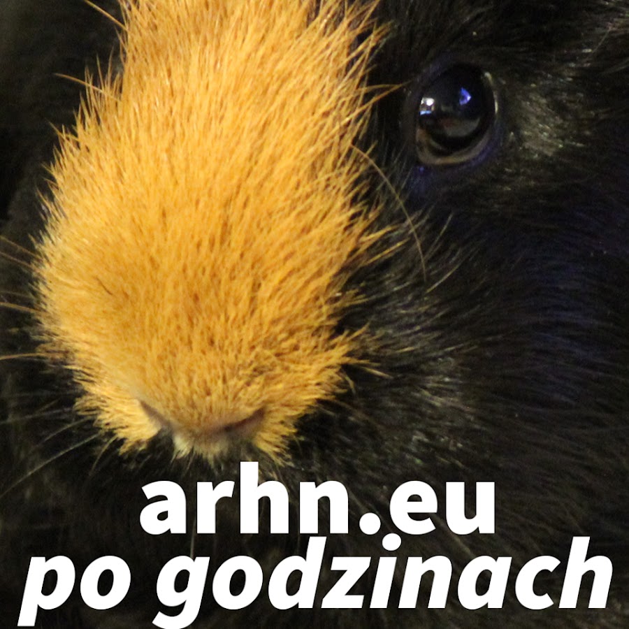 arhn2eu - arhn.eu po godzinach